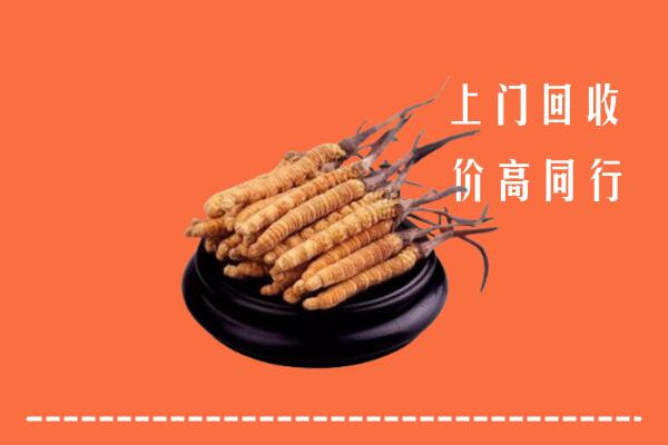 高价求购：锡林郭勒盟回收散虫草