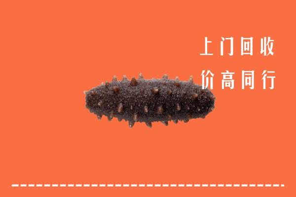 高价求购：锡林郭勒盟回收海参
