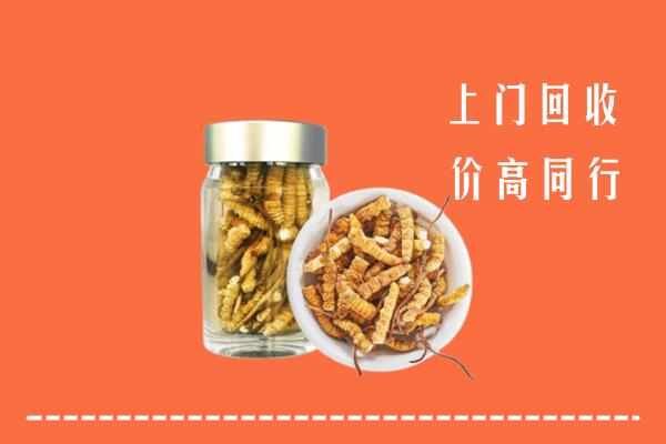 锡林郭勒盟回收冬虫夏草