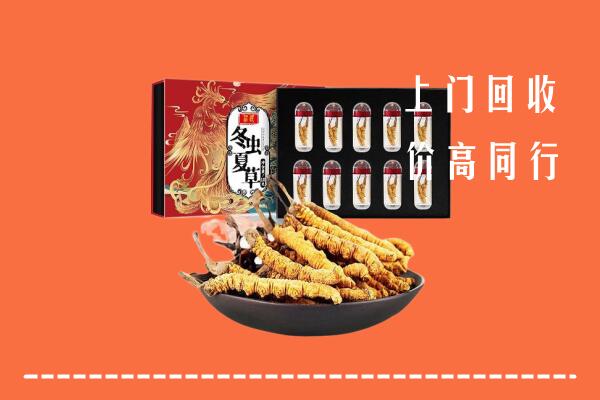 锡林郭勒盟回收虫草